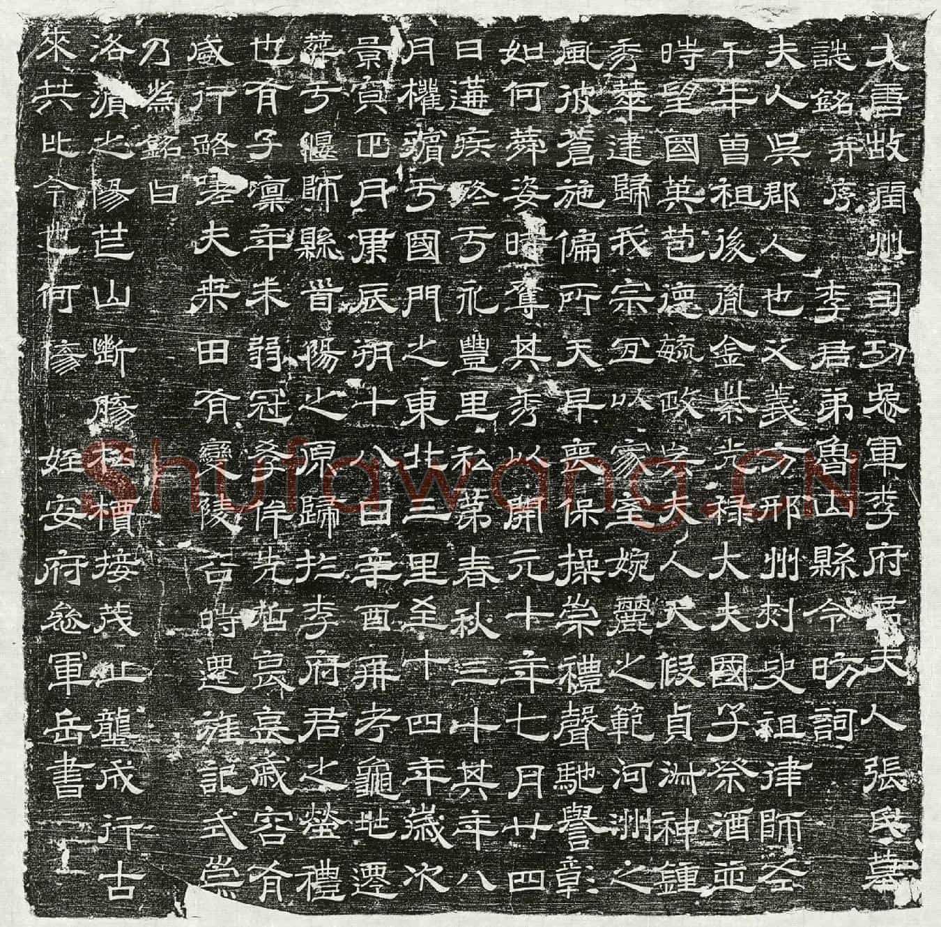 唐李魏相妻张氏墓誌(大唐故润州司功参军李府君夫人张氏墓誌铭并序)
