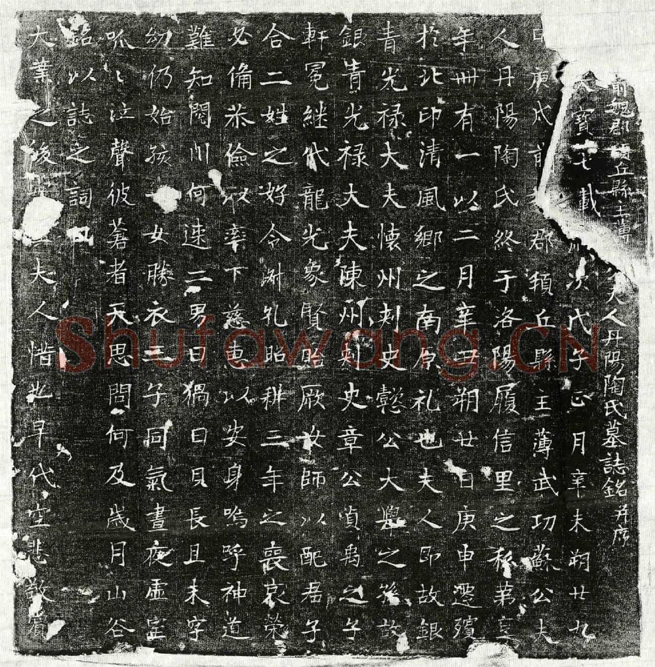 唐苏君妻陶氏墓誌(【/】前魏郡顿丘县主簿【苏】公夫人丹阳陶氏墓誌铭并序)