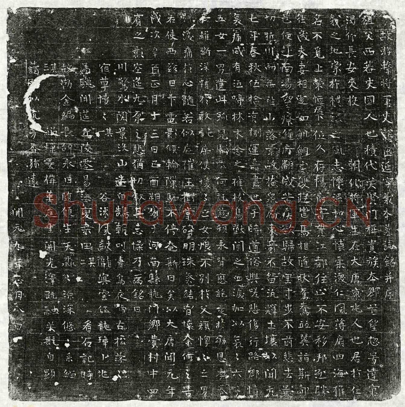 唐史诺匹延墓誌(故游击将军史诺匹延字义本墓誌铭并序)