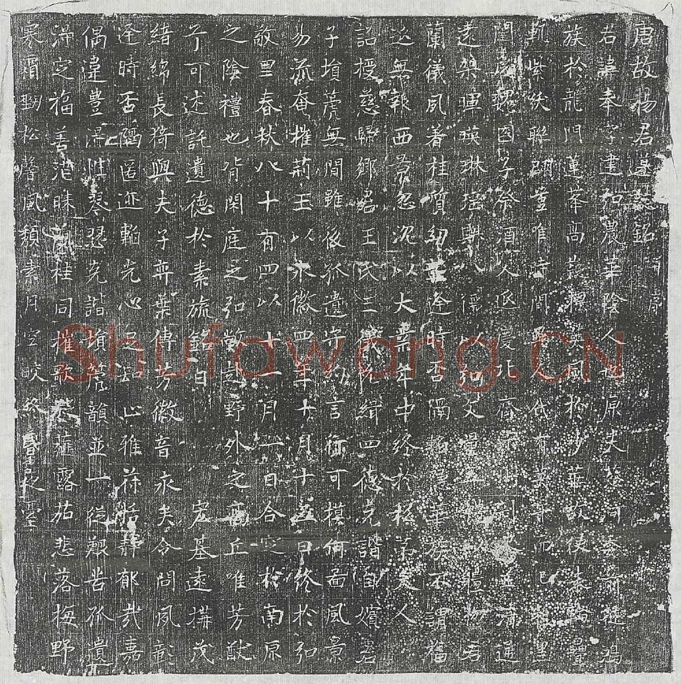 唐杨奉墓誌(唐故杨君墓誌铭并序)