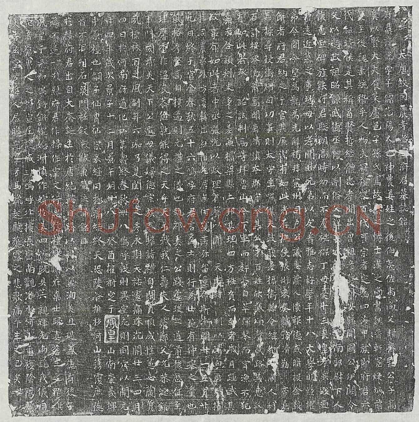 唐卢悦墓誌(大唐故司农寺丞卢府君墓誌铭并序)