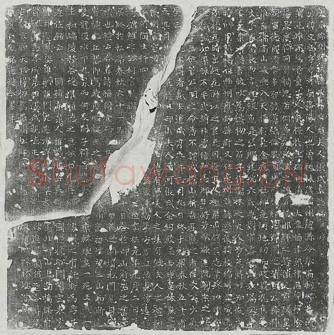 唐杨文挺、杨文挺妻张氏墓誌(大唐绵州魏成县丞杨府君夫人张氏墓誌铭并序)