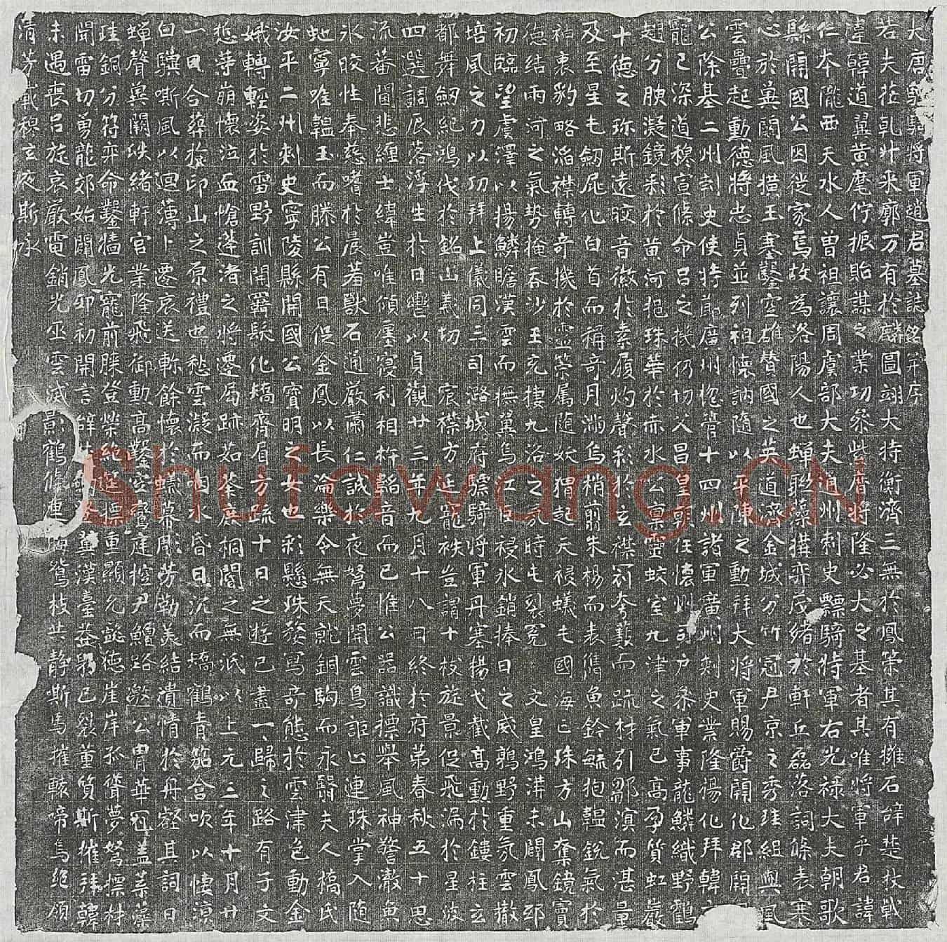 唐赵仁本墓誌(大唐骠骑将军赵君墓誌铭并序)