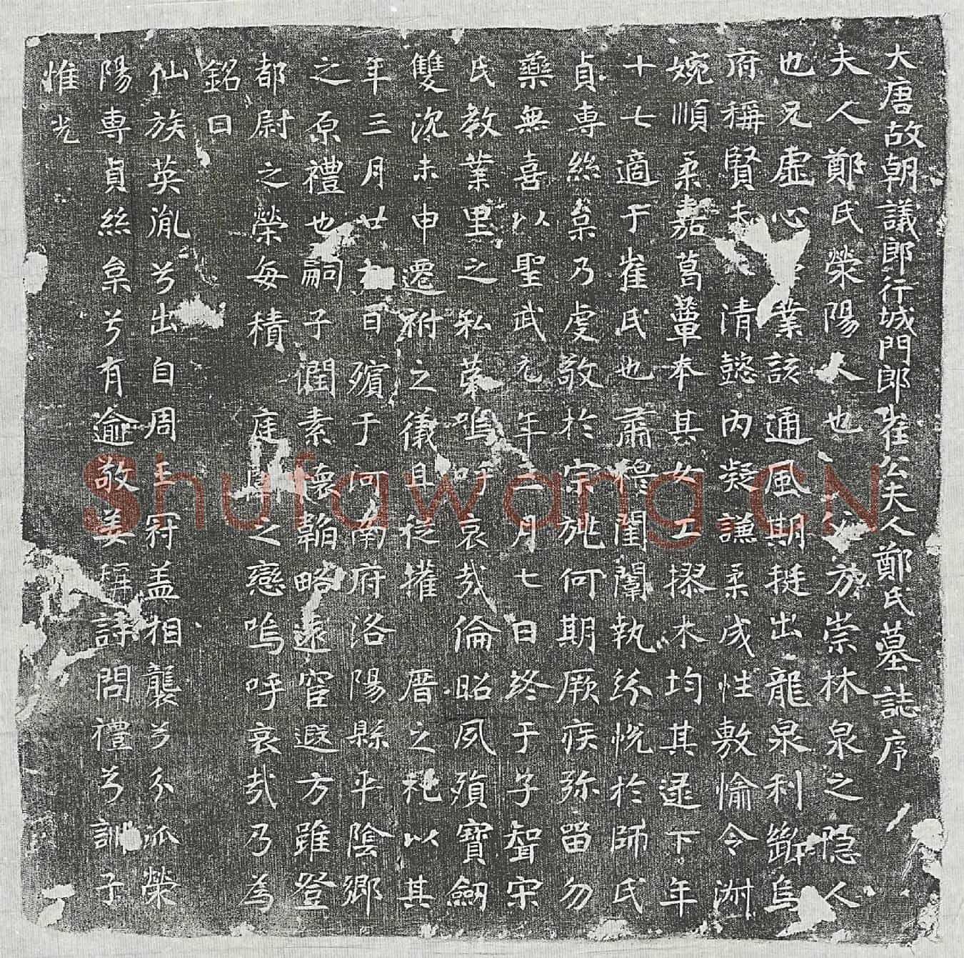 唐崔君妻郑氏墓誌(大唐故朝议郎行城门郎崔公夫人郑氏墓誌序)
