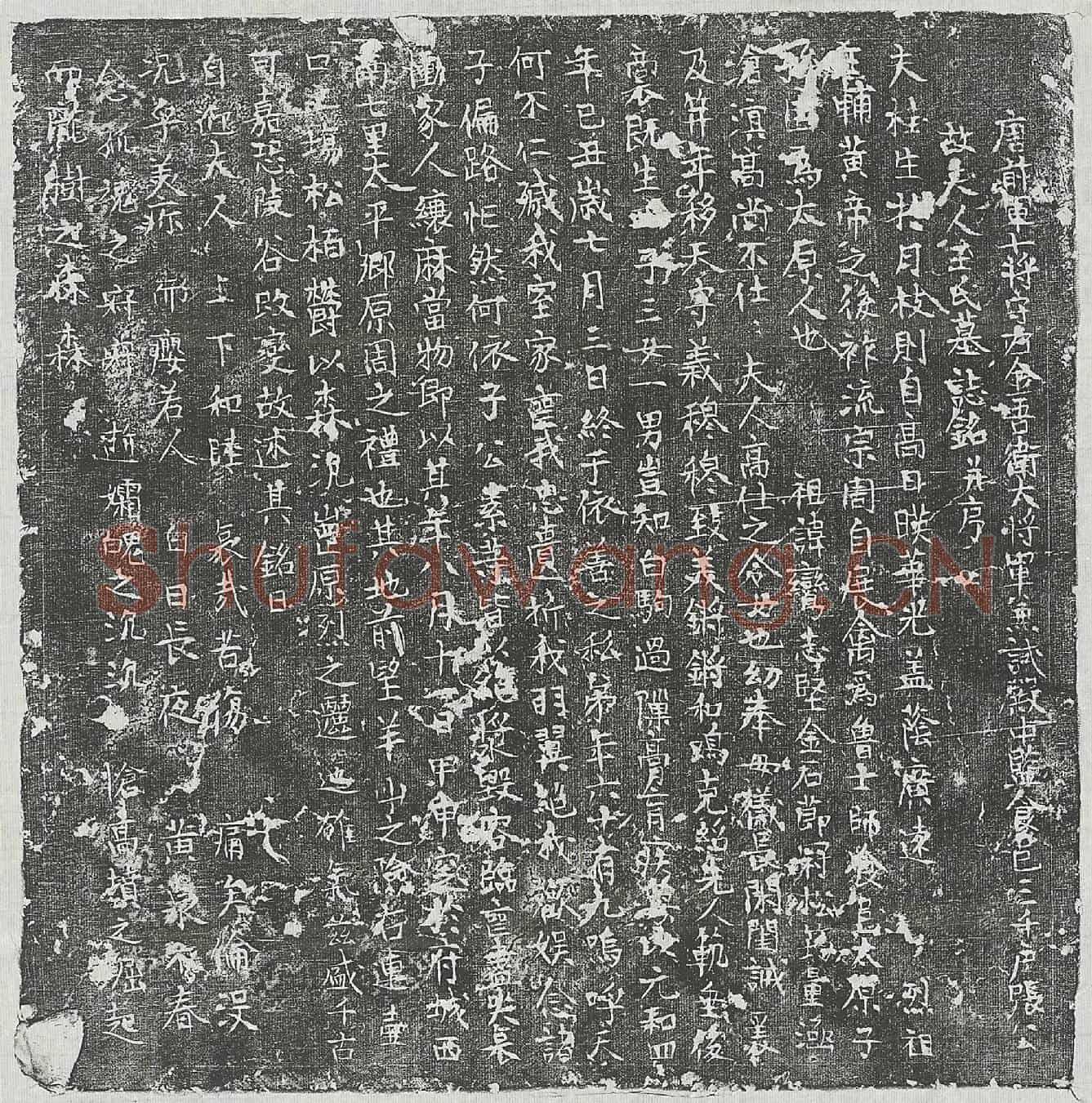 唐张君妻王氏墓誌(唐前军十将守左金吾卫大将军兼试殿中监食邑三千户张公故夫人王氏墓誌铭并序)