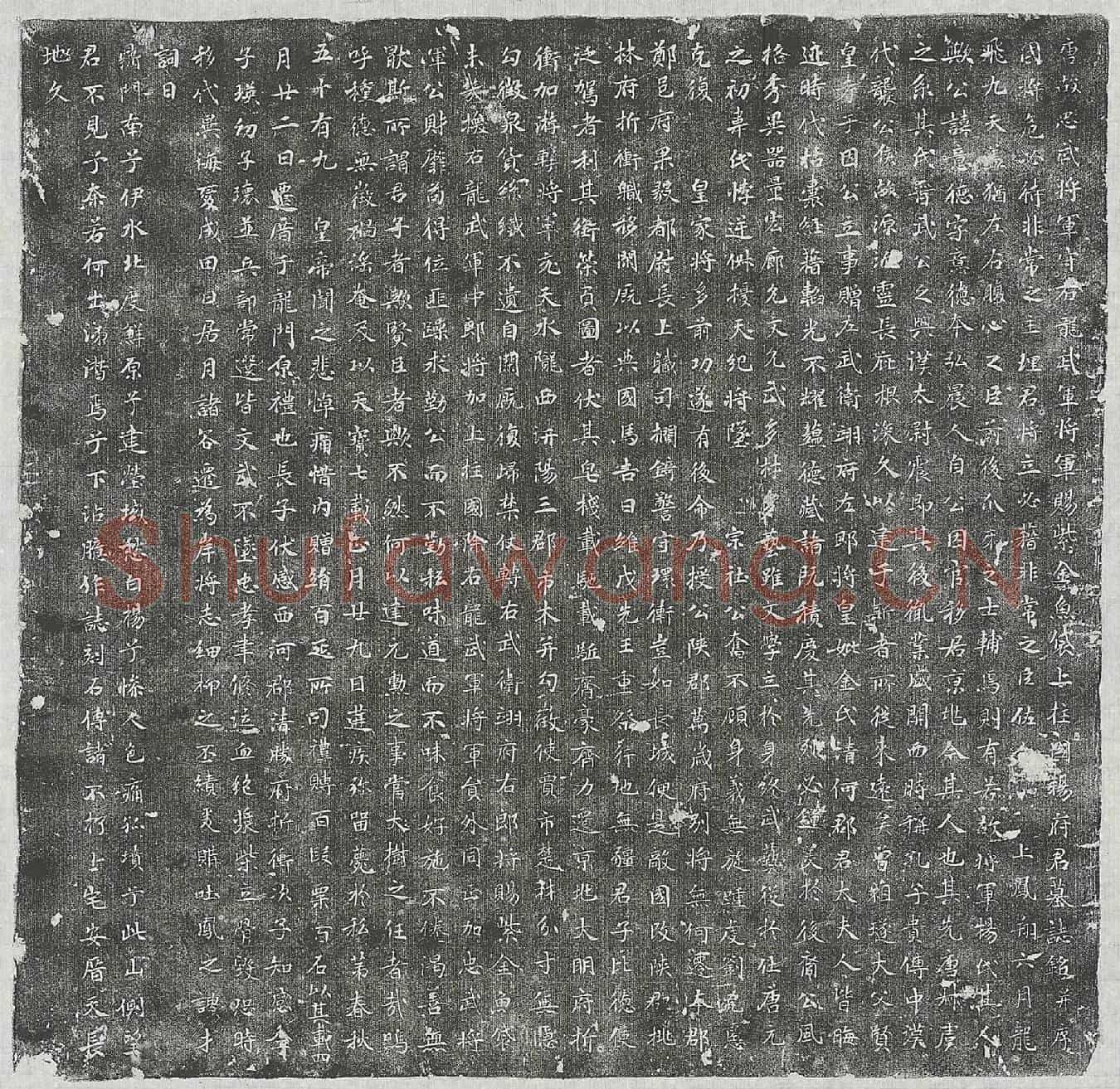 唐杨意德墓誌(唐故忠武将军守右龙武军将军赐紫金鱼袋上柱国杨府君墓誌铭并序)