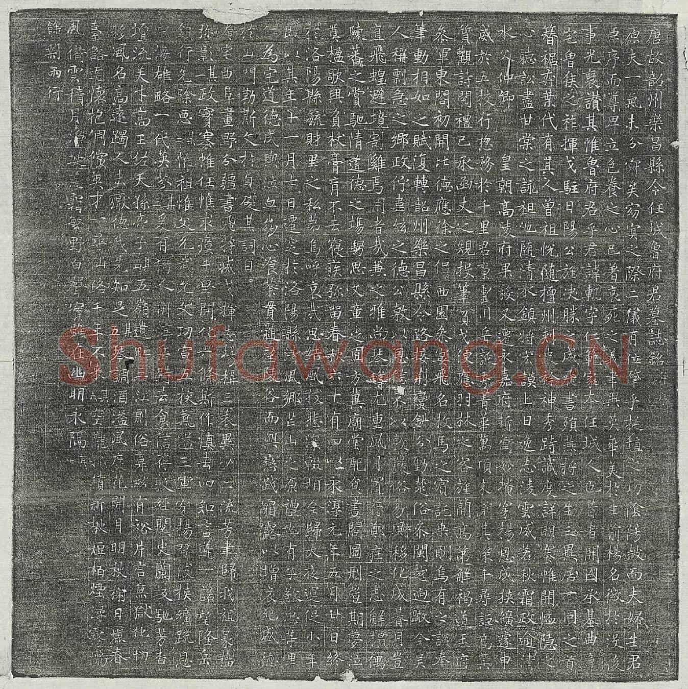 唐鲁轨墓誌(唐故韶州乐昌县令任城鲁府君墓誌铭并序)