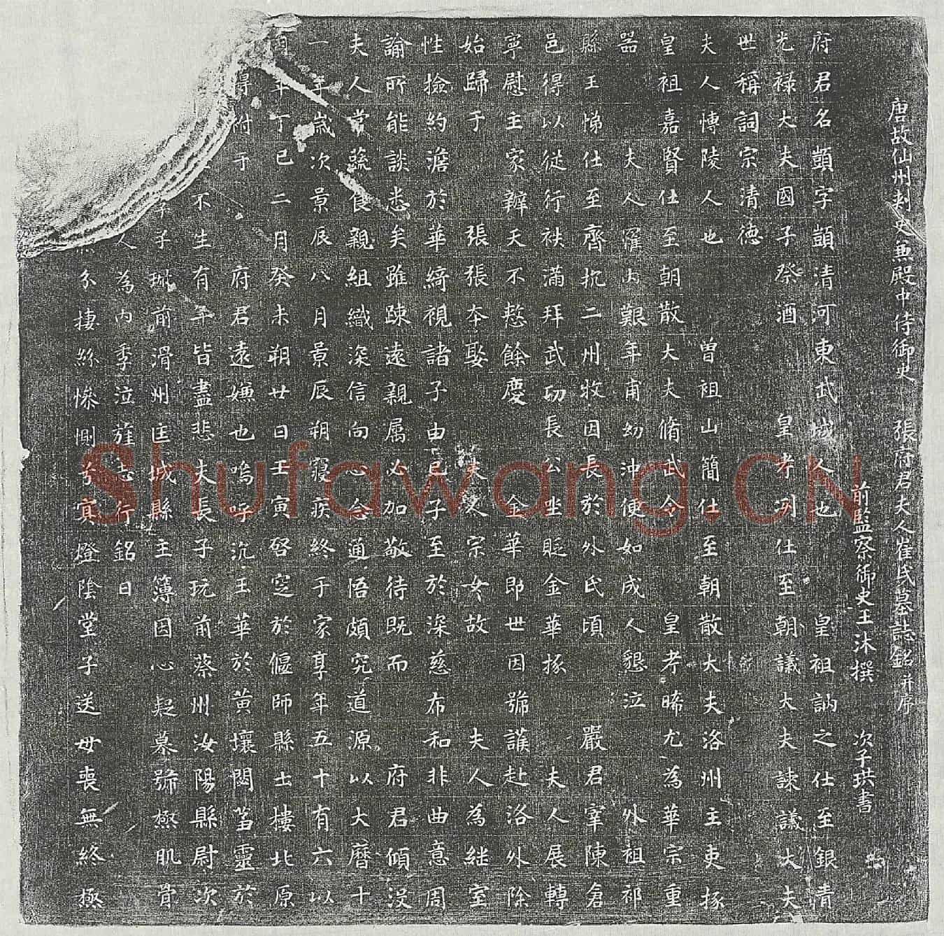 唐张顗妻崔氏墓誌(唐故仙州刺史兼殿中侍御史张府君夫人崔氏墓誌铭并序)