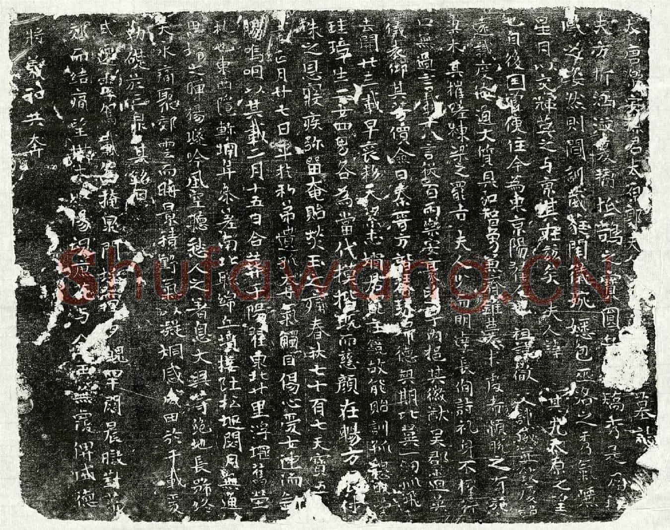 唐孙君妻郭氏墓誌(大唐乐安孙君太原郭夫人【/】墓誌)