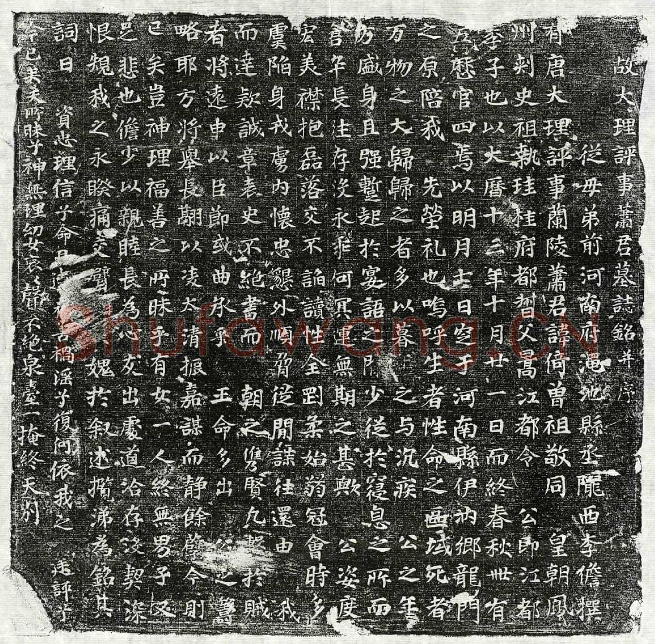 唐萧倚墓誌(故大理评事萧君墓誌铭并序)