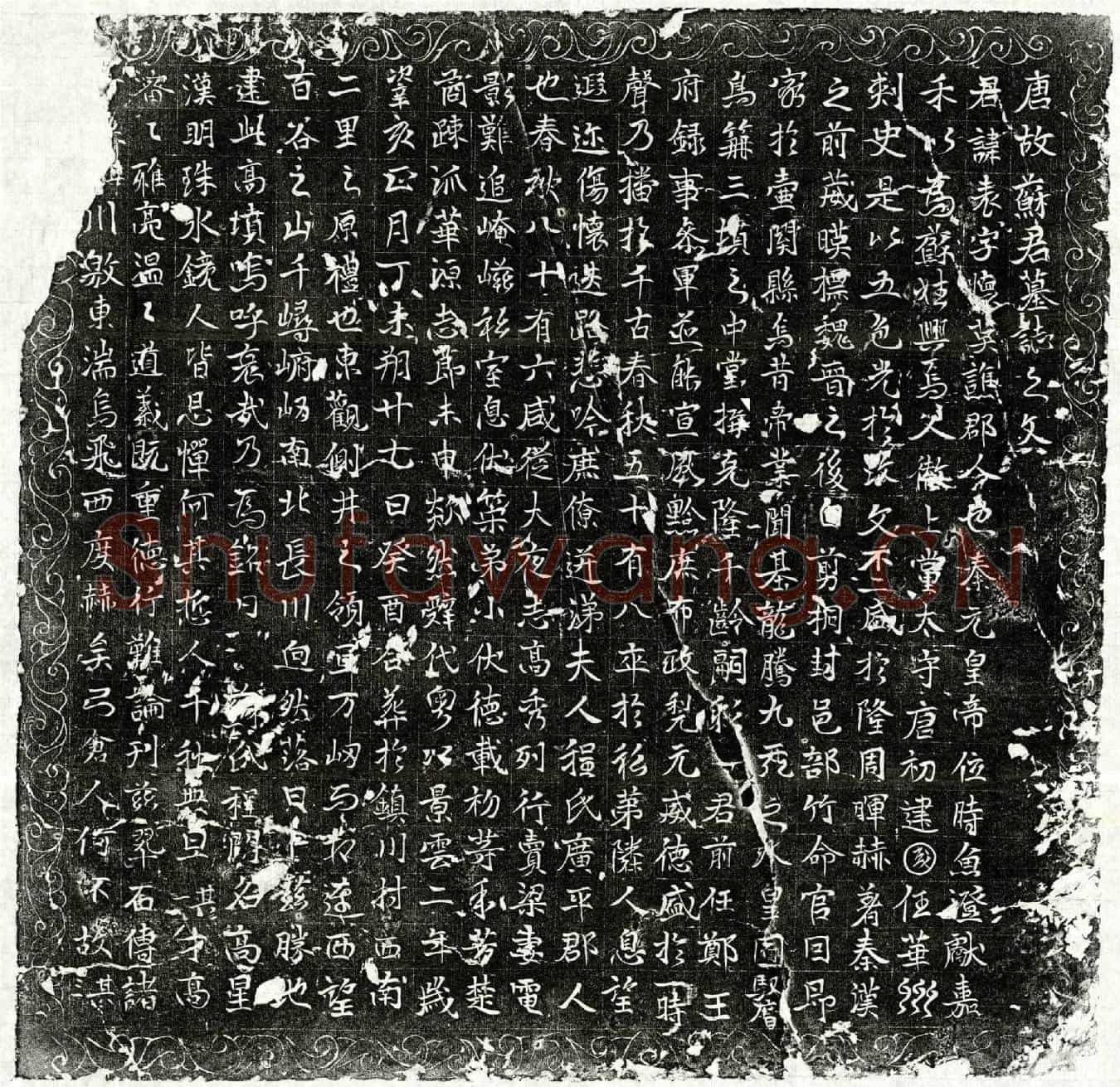 唐苏表墓誌(唐故苏君墓誌之文)