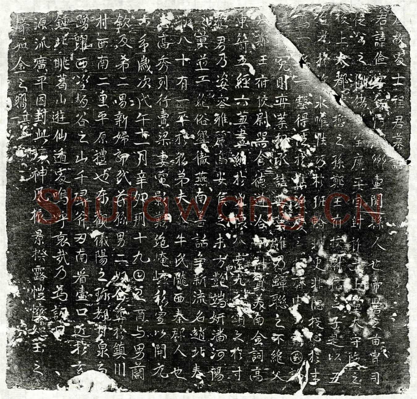 唐程俭墓誌(唐故处士程君墓誌)