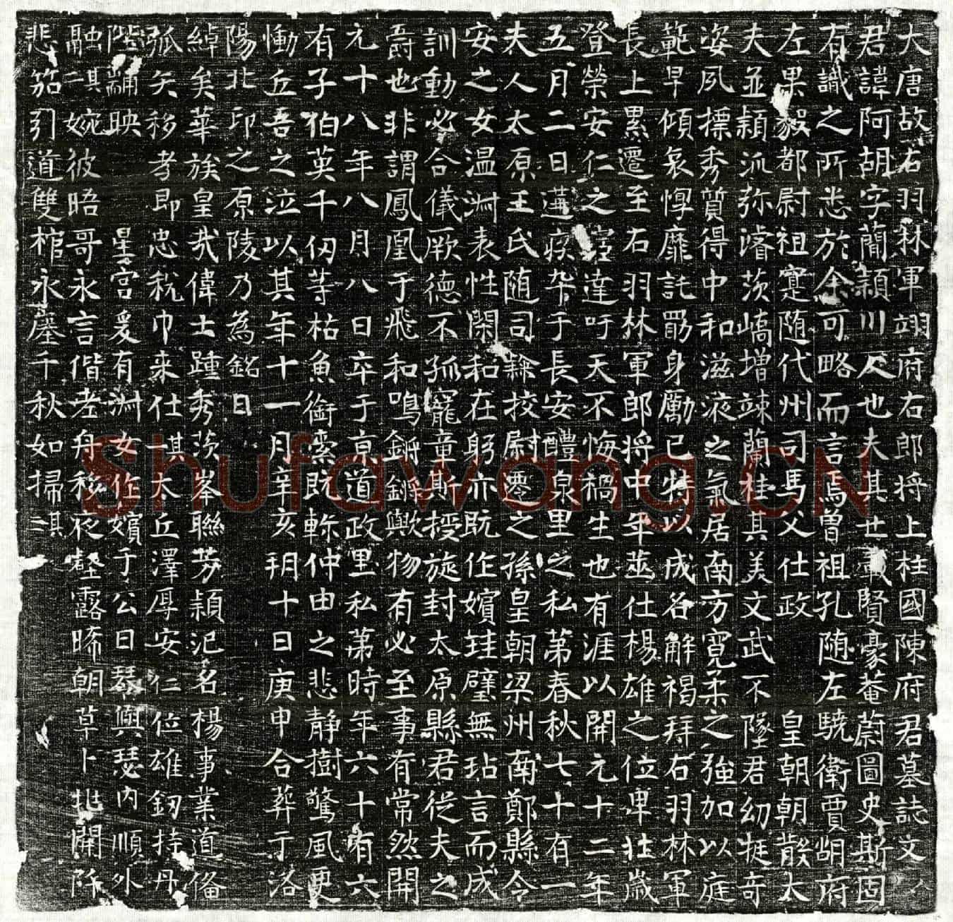 唐陈阿胡墓誌(大唐故右羽林军翊府右郎将上柱国陈府君墓誌文)