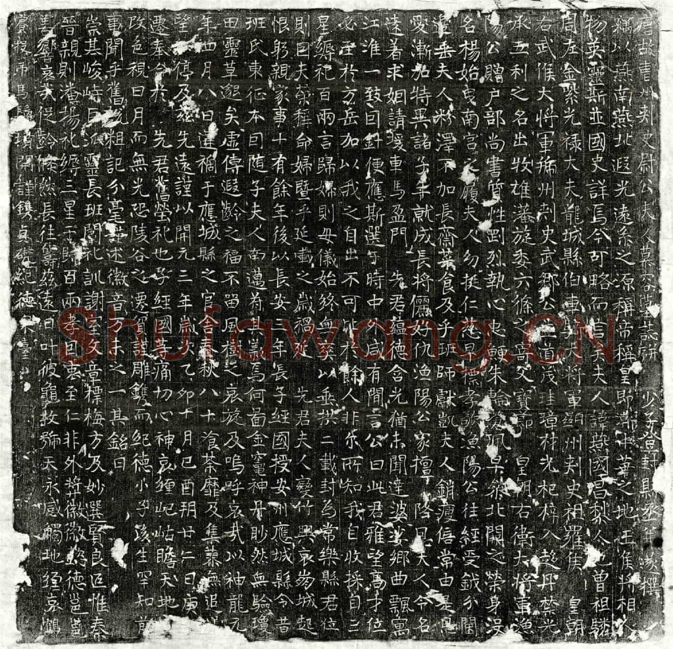 唐尉亮妻慕容燕国墓誌(唐故曹州刺史尉公夫人慕容墓誌并序)