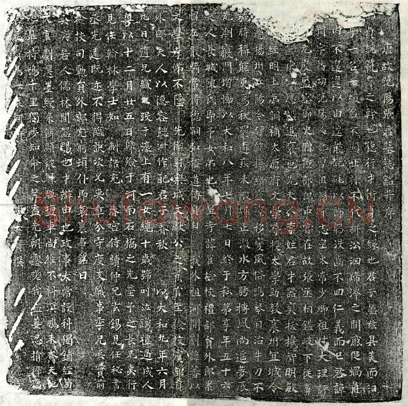 唐张【】周墓誌(唐故范阳张君墓誌铭并序)