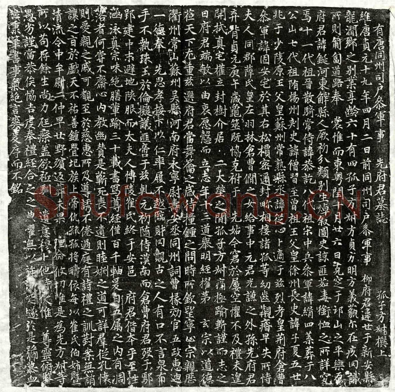 唐柳鋋墓誌(有唐同州司户参军事先府君墓誌)
