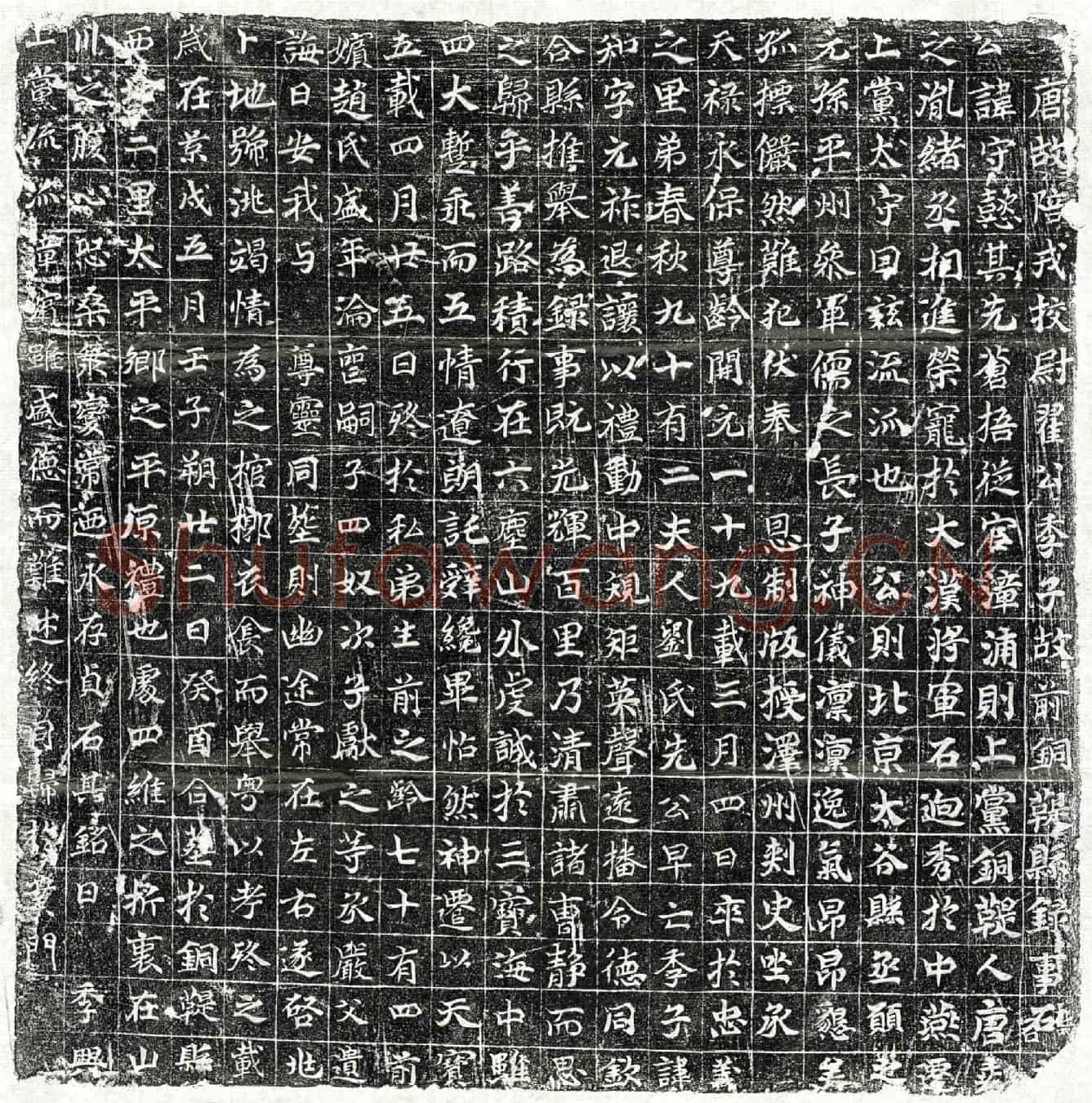 唐翟守懿墓誌(唐故陪戎校尉翟公季子故前铜鞮县录事石【】誌石)