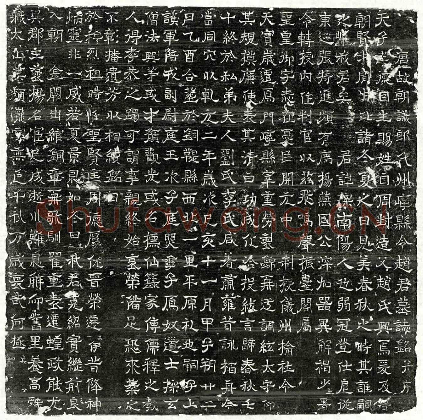 唐赵琛墓誌(唐故朝议郎代州崞县令赵君墓誌铭并序)
