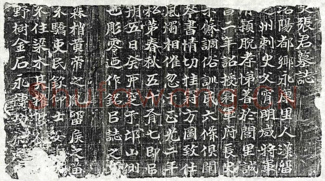 北朝张君墓誌(【】张君墓誌)