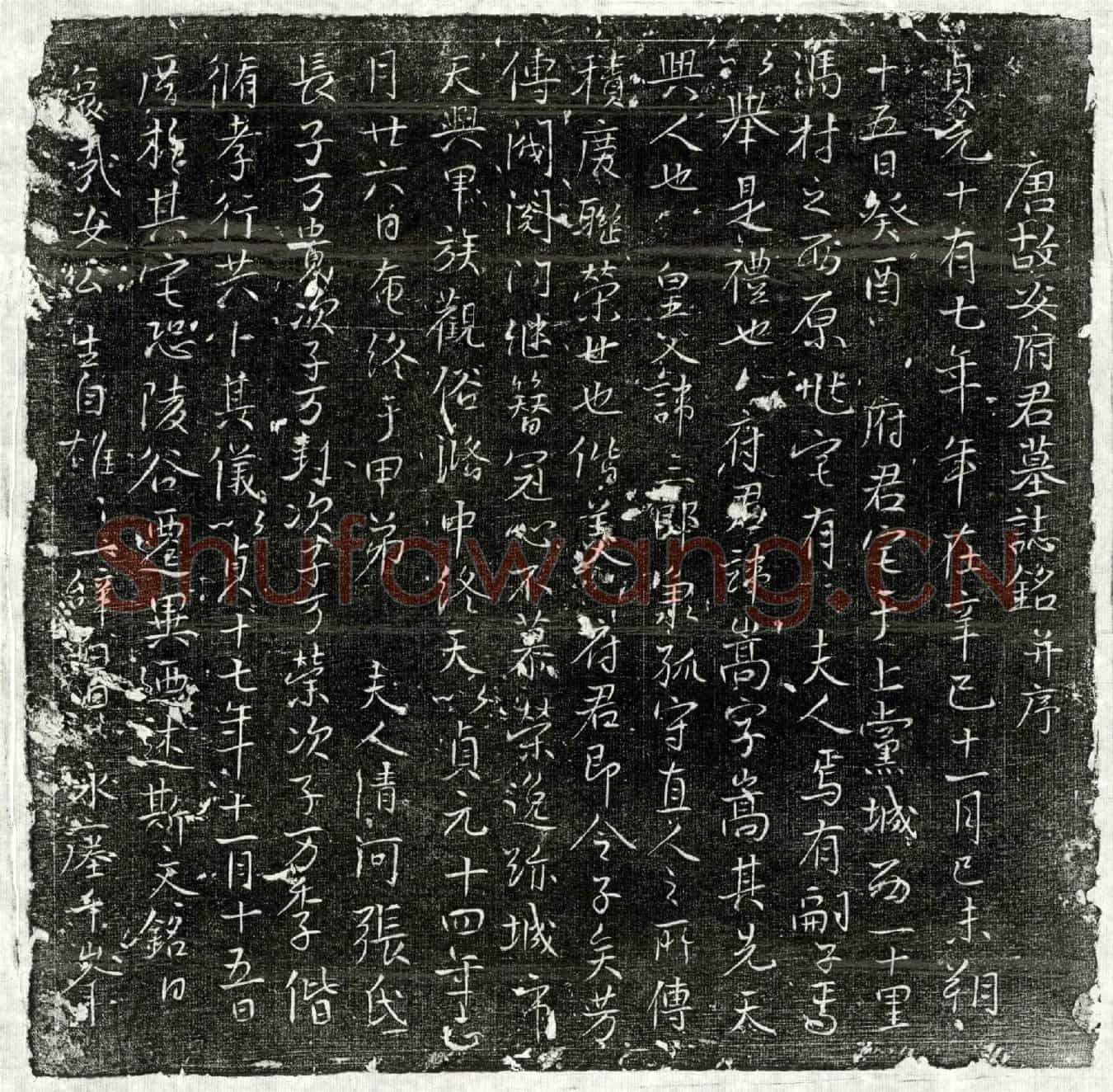 唐安嵩墓誌(唐故安府君墓誌铭并序)