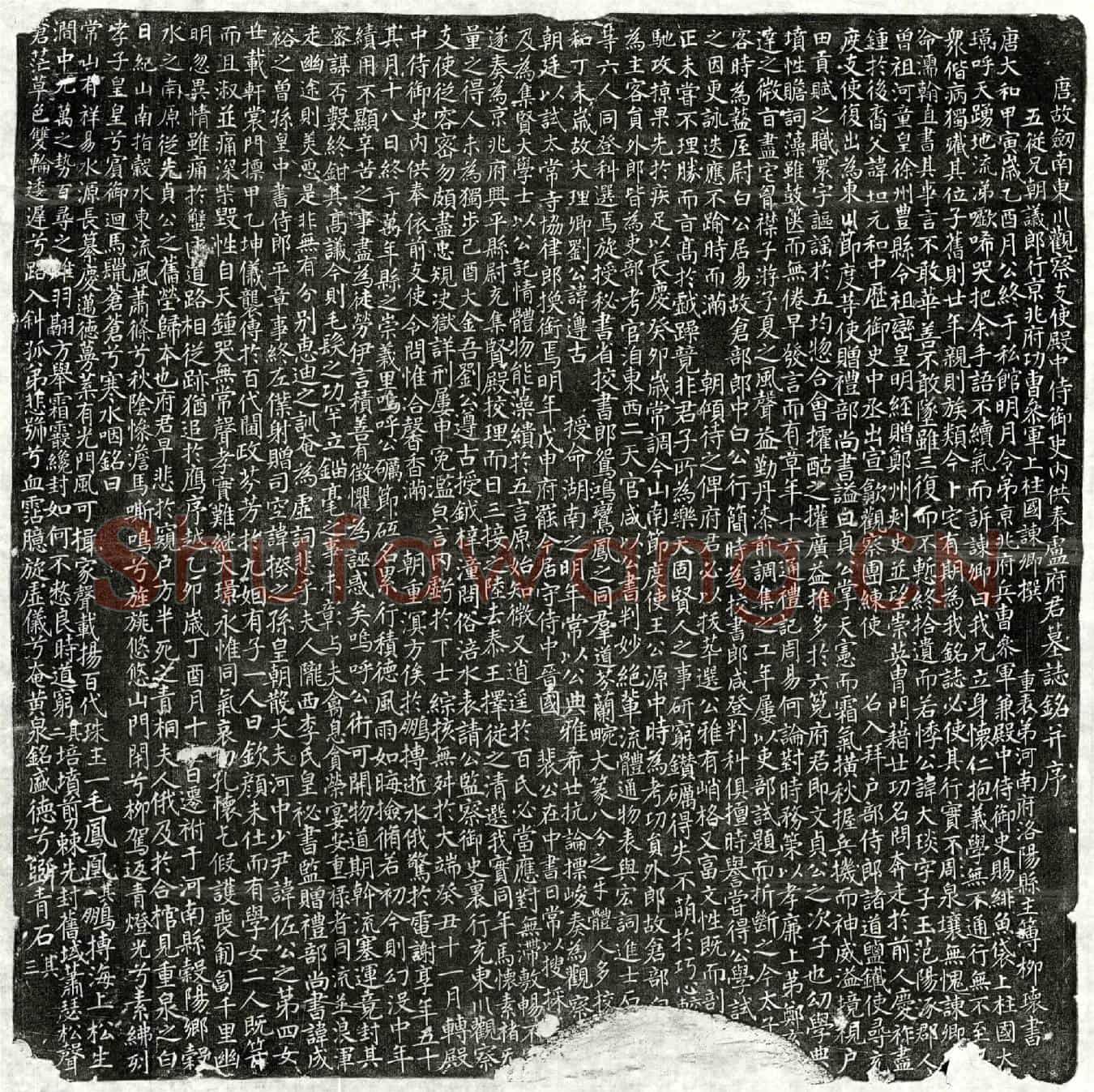 唐卢大琰墓誌(唐故剑南东川观察支使殿中侍御史内供奉卢府君墓誌铭并序)