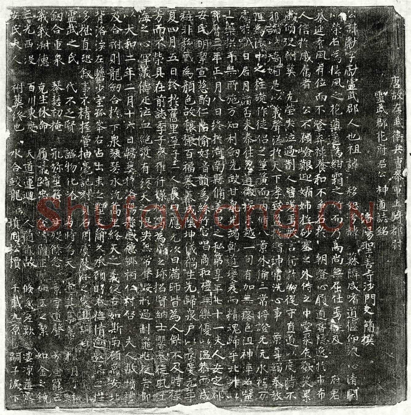 唐花献墓誌(唐故左武卫兵曹参军上骑都尉灵武郡花府君公神道誌铭)