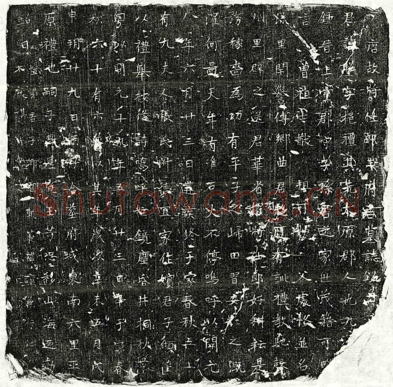 唐王昭墓誌(唐故将仕郎王府君墓誌铭并【序】)