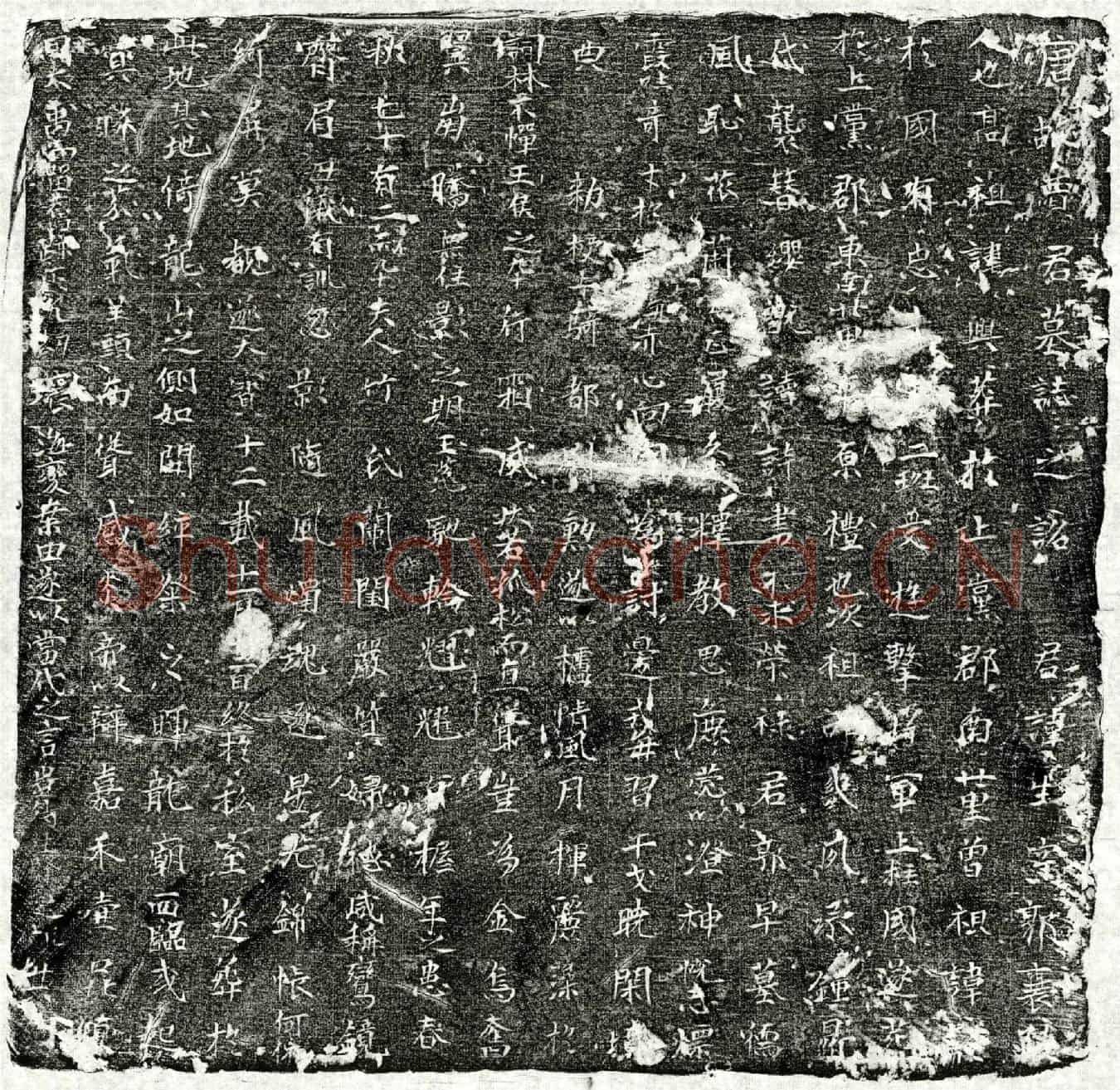 唐贾生墓誌(唐故贾君墓誌之詺)