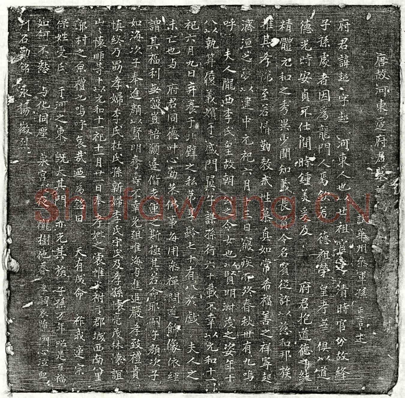唐遆超墓誌(唐故河东遆府君墓【誌铭并叙】)