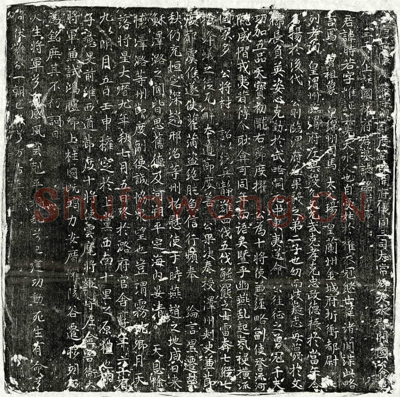 唐权时若墓誌(唐故怀泽潞等州节度副使开府仪同三司太常卿天水郡开国公食邑三千户上柱国权府君墓誌铭并序)
