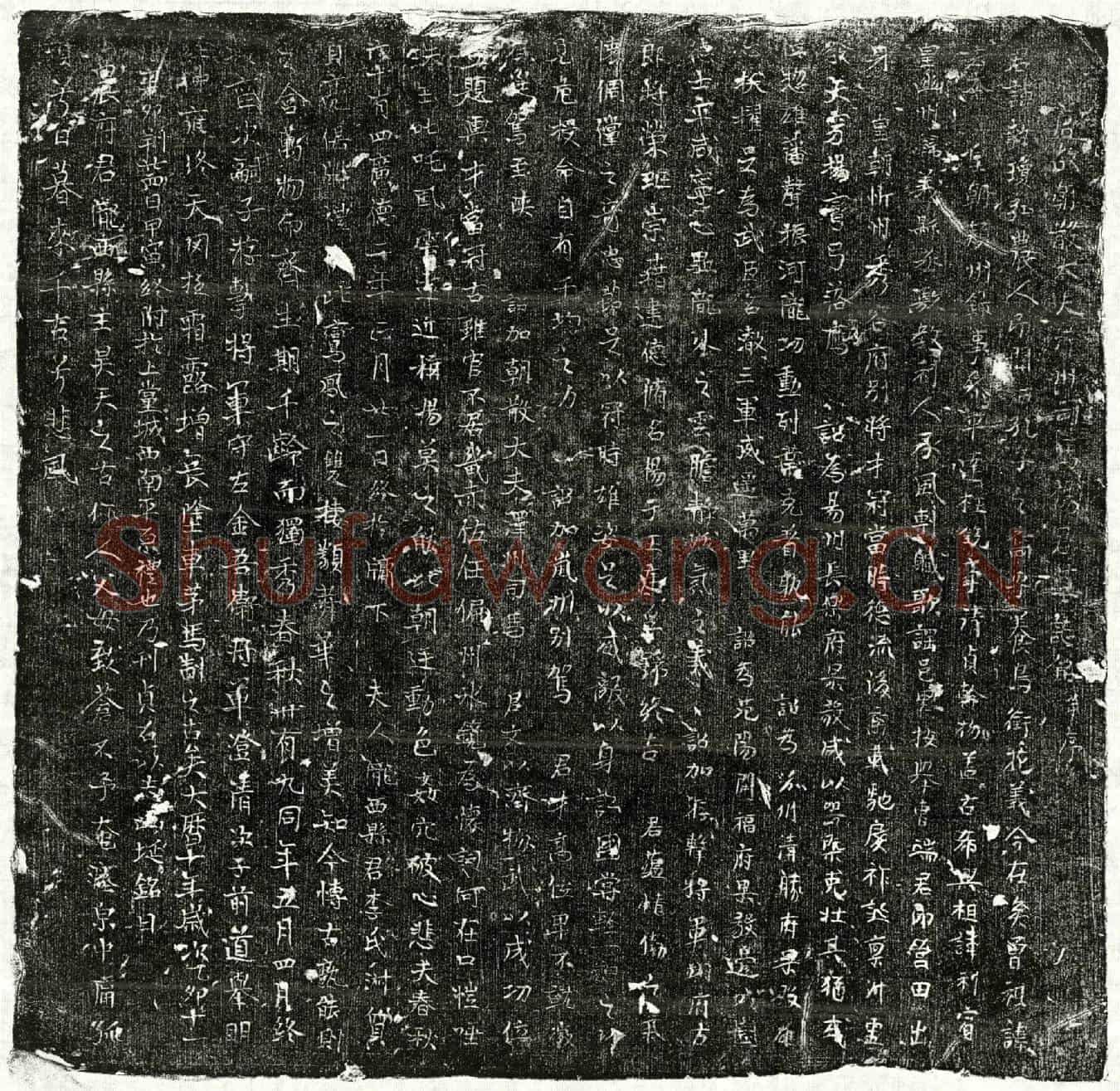 唐杨执琼墓誌(唐故朝散大夫泽州司马杨君墓誌铭并序)