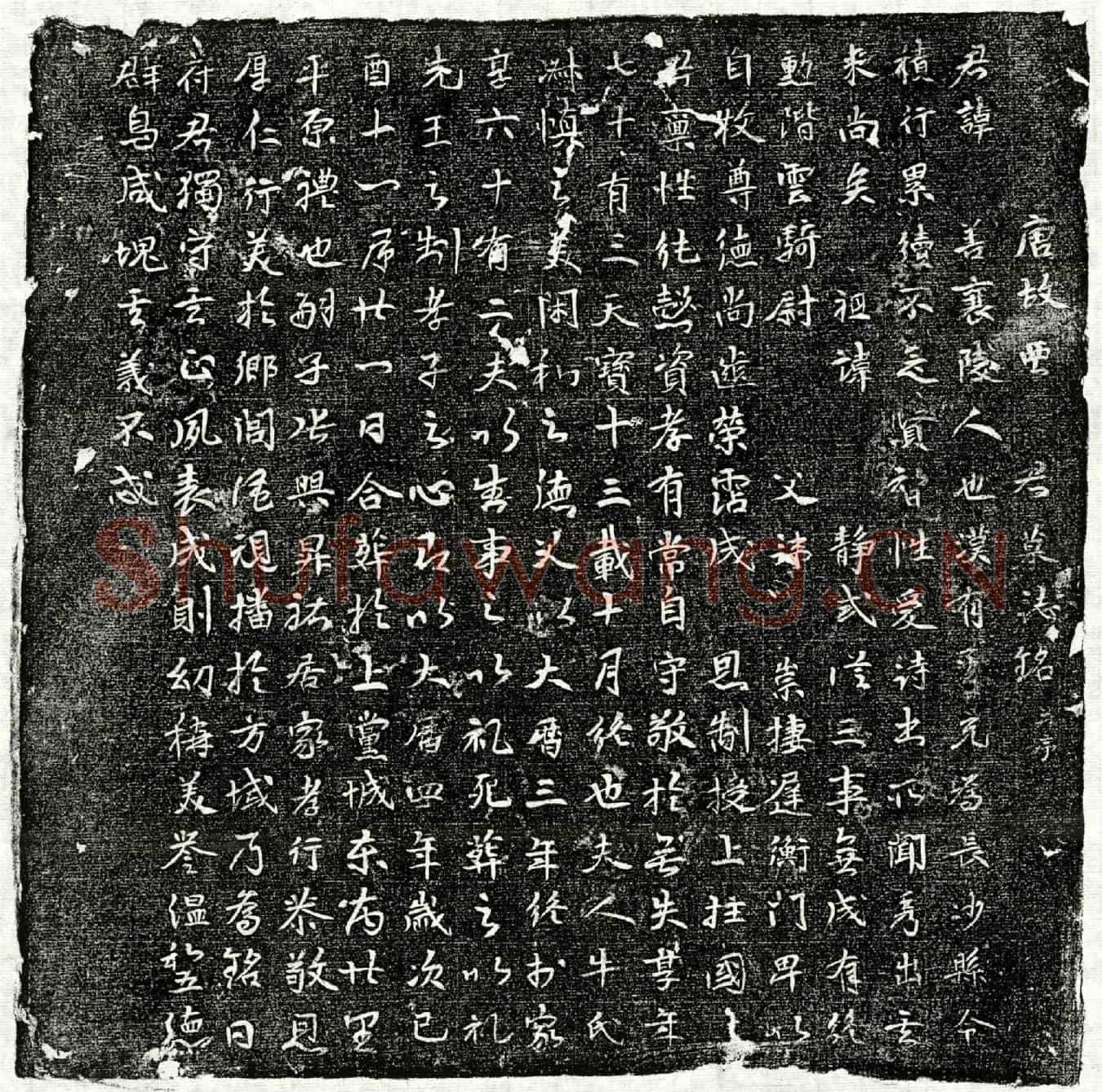 唐贾善墓誌(唐故贾君墓誌铭并序)