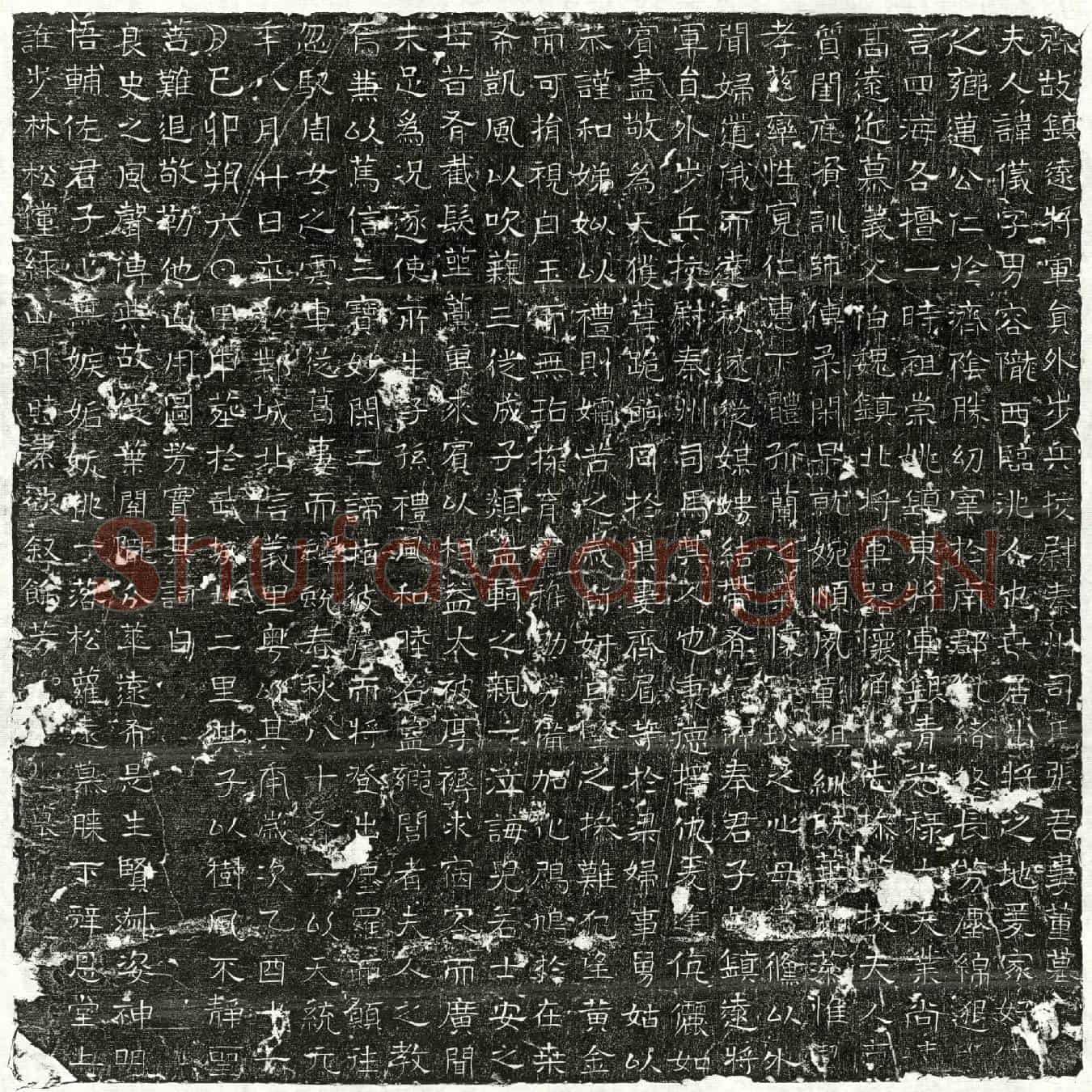 北朝张君妻董仪墓誌(齐故镇远将军员外步兵校尉秦州司马张君妻董墓)