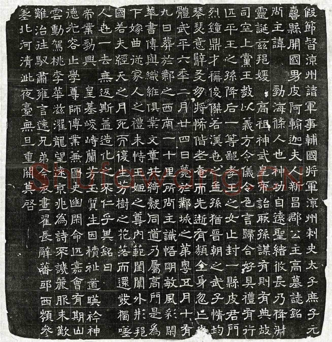 北朝皮阿输迦妻新昌郡公主高氏墓誌(假节督凉州诸军事辅国将军凉州刺史太子庶子元寿县开国男皮阿输迦夫人新昌郡公主高墓誌铭)