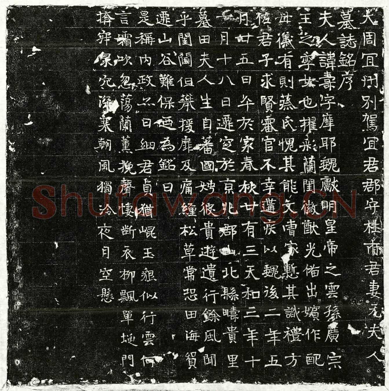 北朝杜君妻元寿墓誌(大周宜州别驾宜君郡守杜府君妻元夫人墓誌铭序)