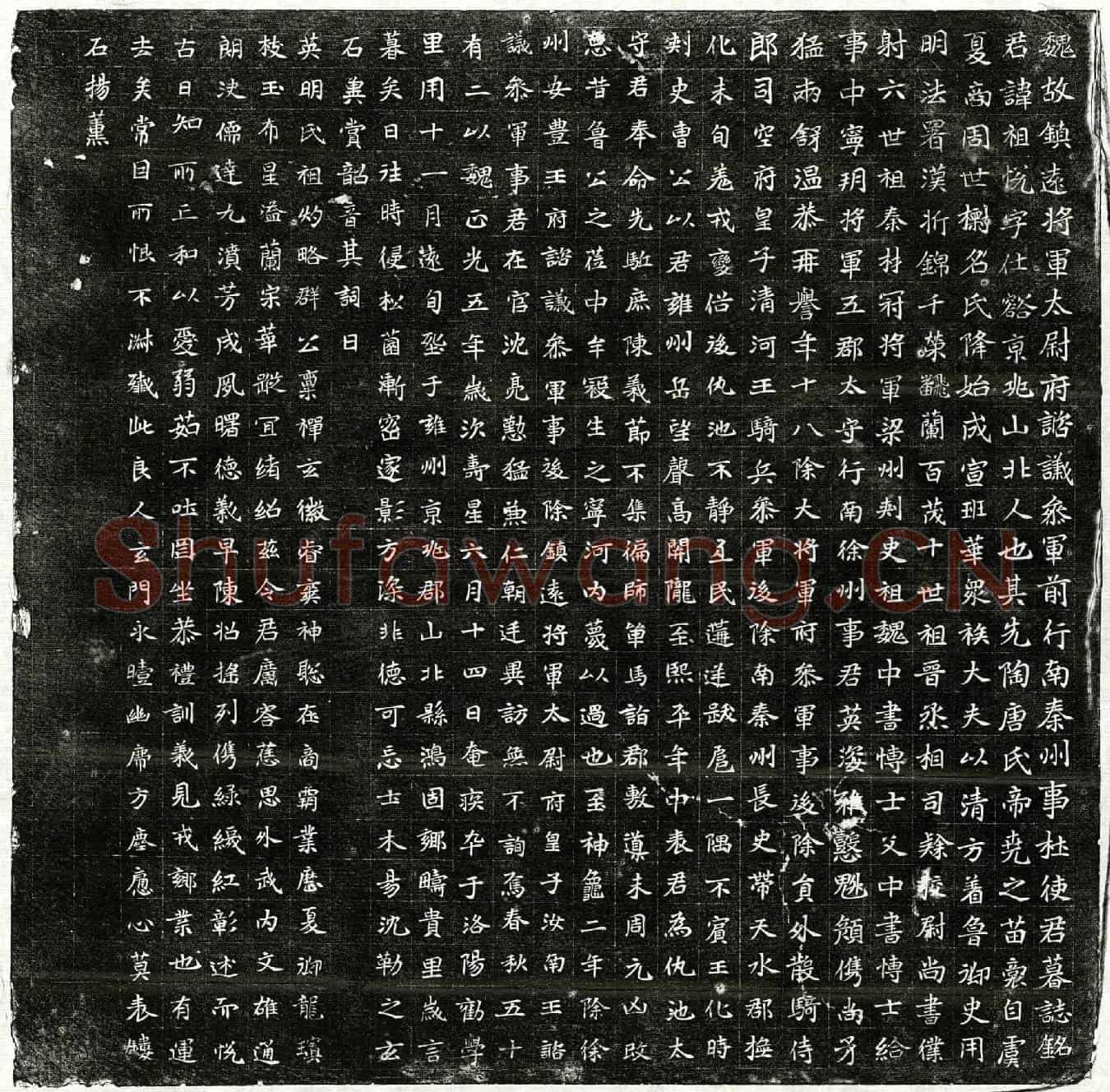 北朝杜祖悦墓誌(魏故镇远将军太尉府谘议参军前行南秦州事杜使君墓誌铭)