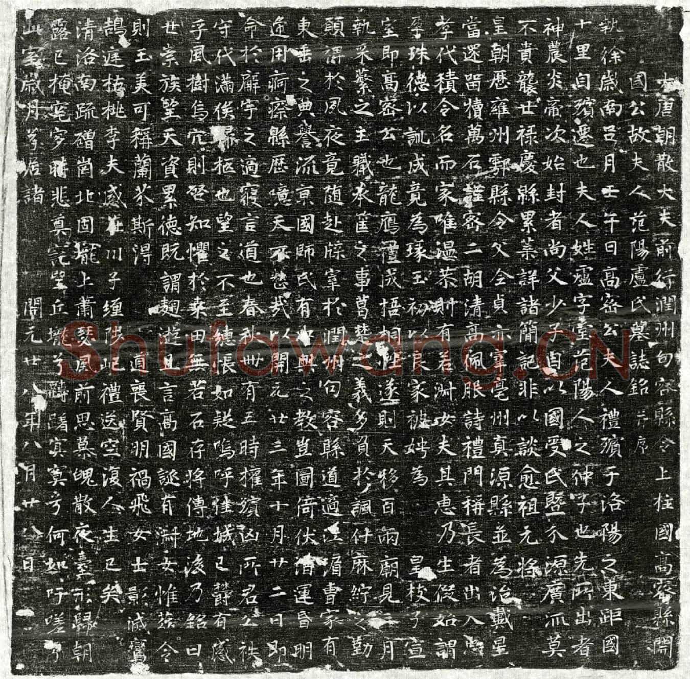唐李君妻卢堂墓誌(大唐朝散大夫前行润州句容县令上柱国高密县开国公故夫人范阳卢氏墓誌铭并序)