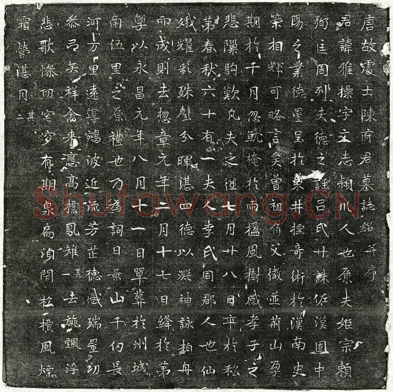 唐陈雅操墓誌(唐故处士陈府君墓誌铭并序)