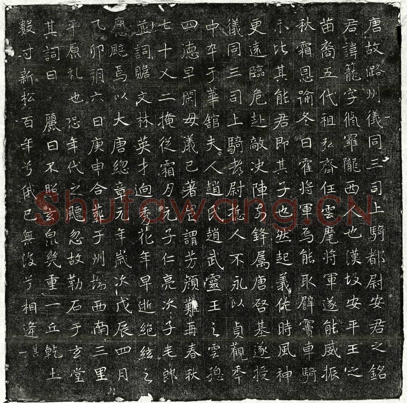 唐安笼墓誌(唐故潞州仪同三司上骑都尉安君之铭)
