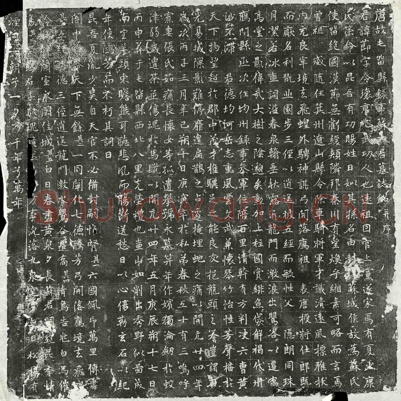 唐苏节墓誌(唐故屯留县录事苏府君墓誌铭并序)