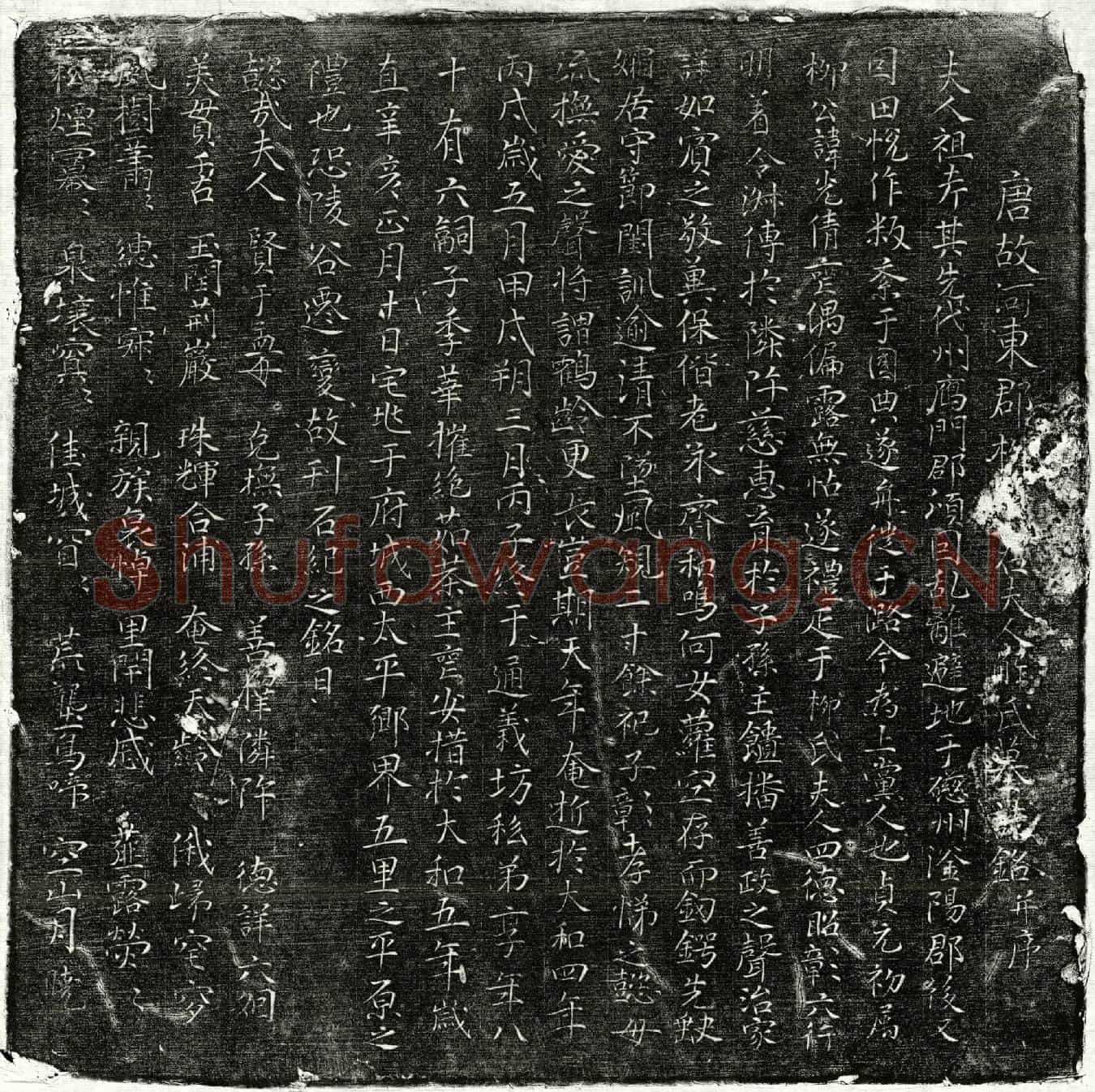 唐柳光倩妻解氏墓誌(唐故河东郡柳□君夫人解氏墓誌铭并序)