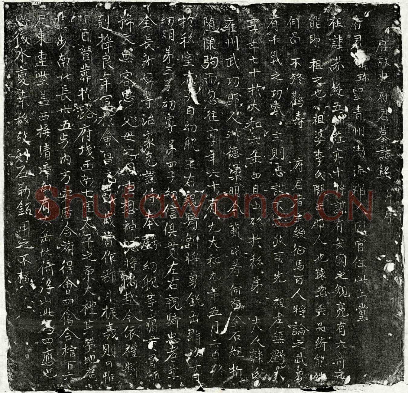 唐史珍墓誌(唐故史府君墓誌铭并序)