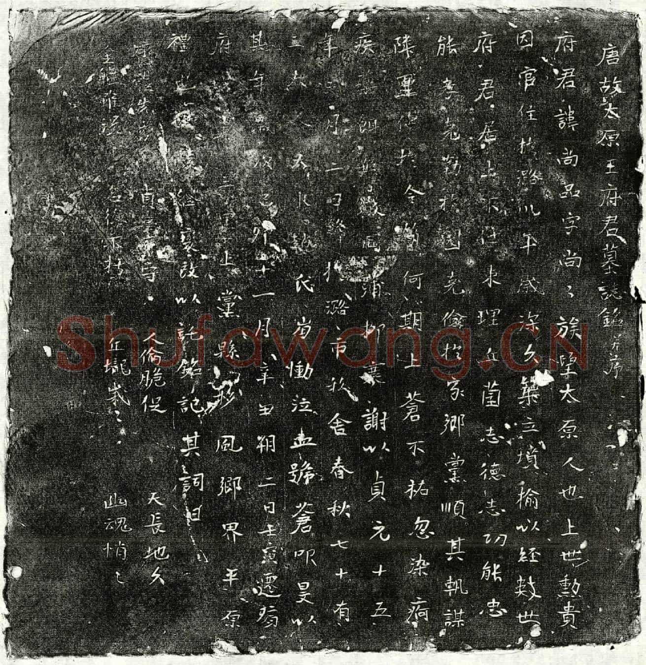 唐王尚品墓誌(唐故太原王府君墓誌铭并序)