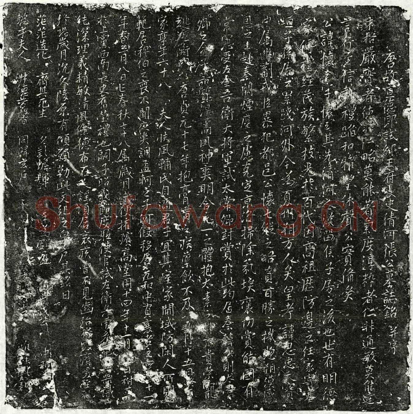 唐张怀玉墓誌(唐故宣德郎试邠王府长史清河张公墓誌铭并序)