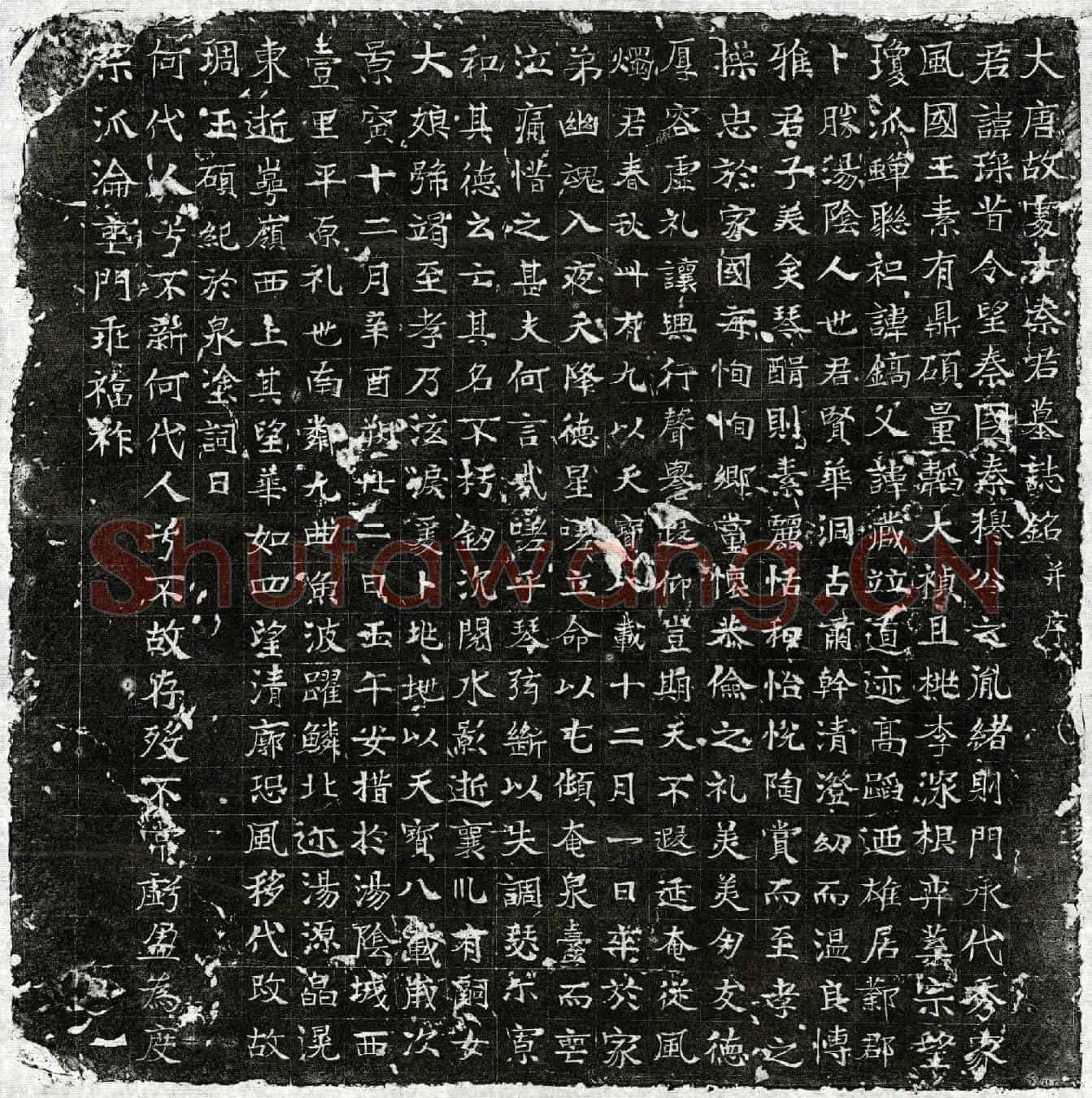 唐秦琛墓誌(大唐故处士秦君墓誌铭并序)