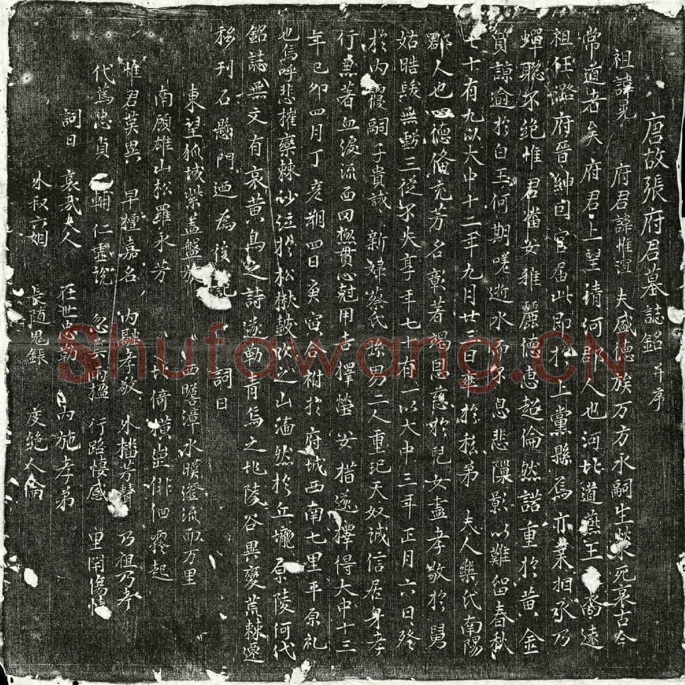唐张惟谊墓誌(唐故张府君墓誌铭并序)