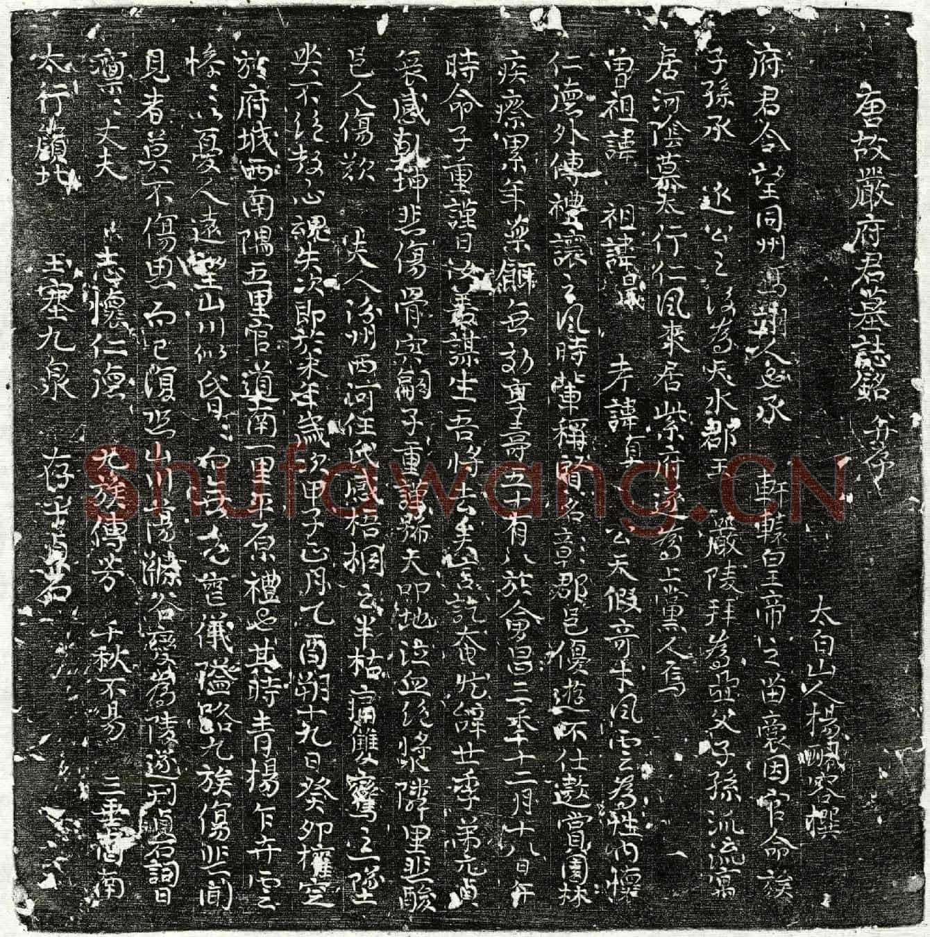 唐严君墓誌(唐故严府君墓誌铭并序)