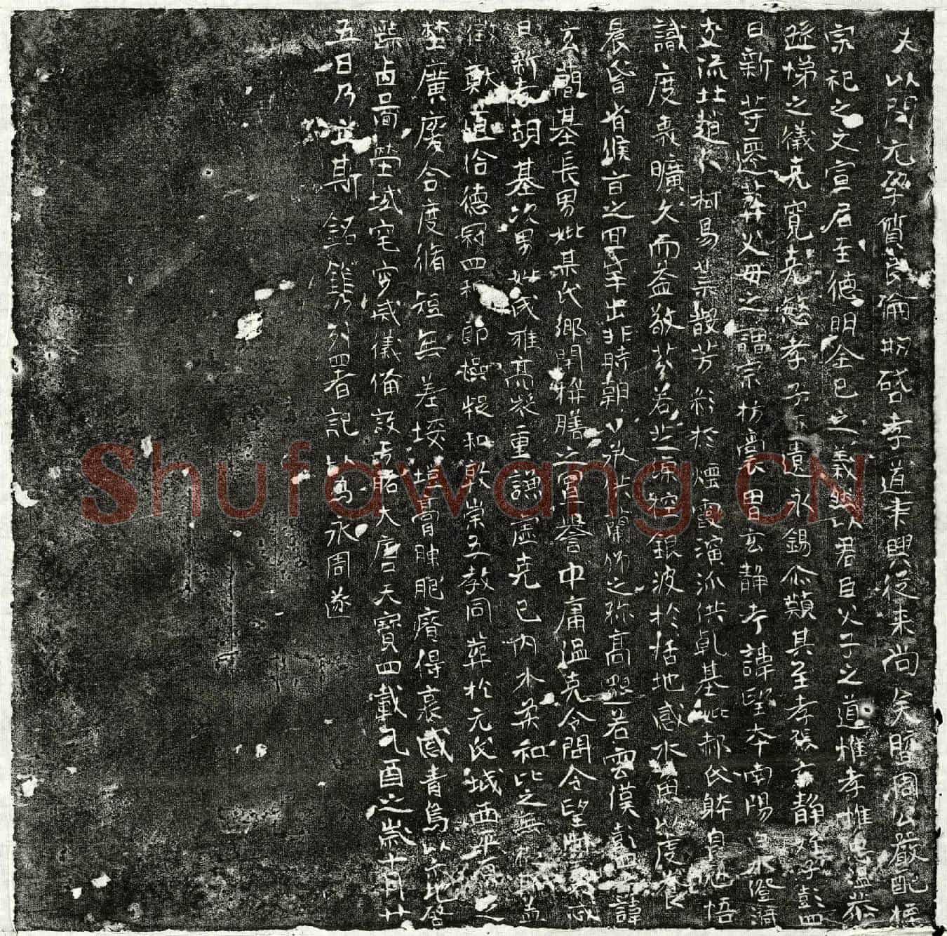 唐张望墓誌
