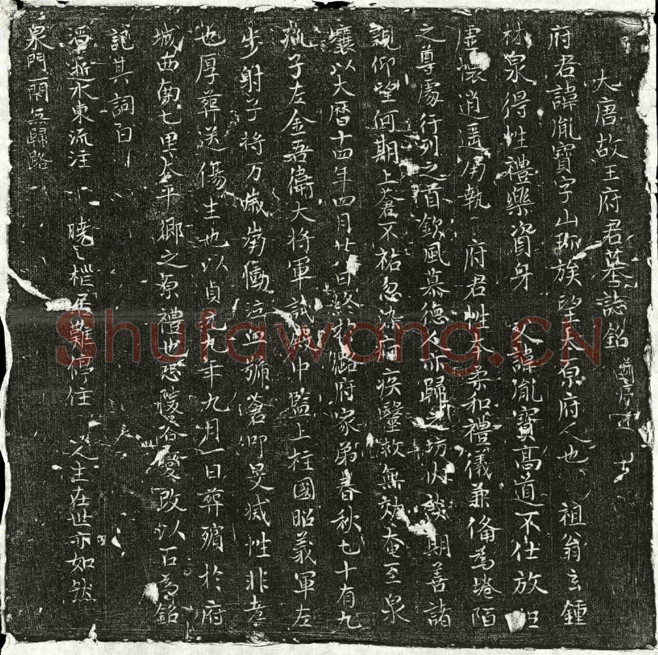 唐王胤宝墓誌(大唐故王府君墓誌铭并序)