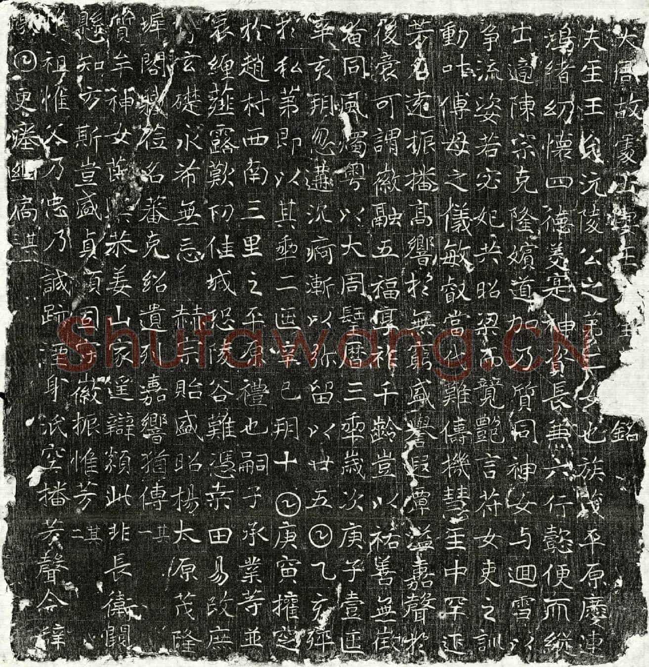 唐陈君妻王氏墓誌(大周故处士妻王□人□□铭)